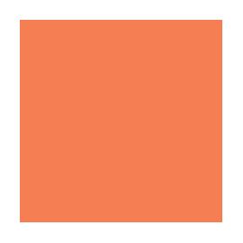 008 Dark Salmon